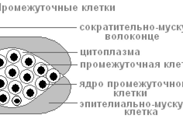 Ссылка на кракен 2krnmarket