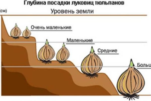 Ссылки на даркмаркеты