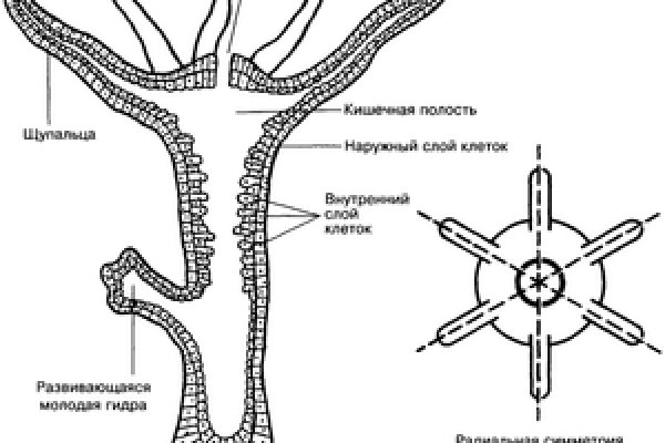 Ссылка на кракен в тор браузере