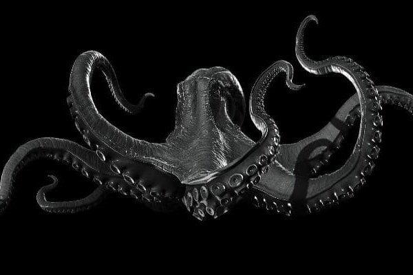 Kraken forum