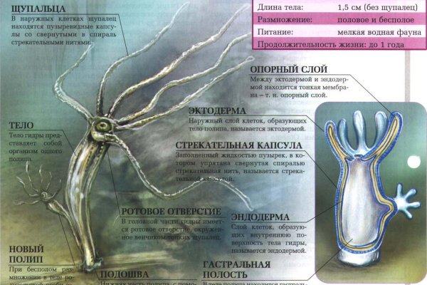 Kra29.cc